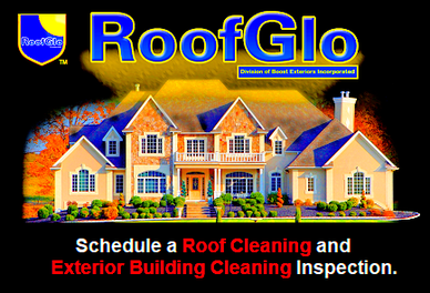 Free Roof Cleaning Inspections