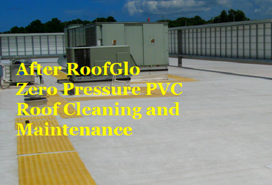 After: RoofGlo's 100% Zero Pressure Roof Cleaning Treatment Service