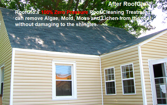 After: RoofGlo's 100% Zero Pressure Roof Cleaning Treatment Service