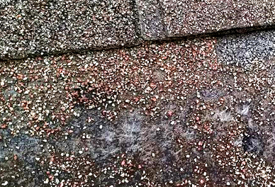 Outdated roof cleaning methods can decrease the lifespan of roof shingles. 
